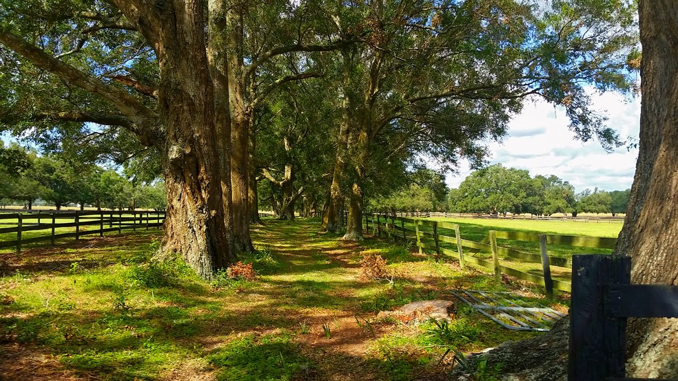 3570 NW 63rd St, Ocala, FL à vendre - Autre – Image 2 sur 15