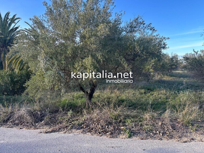 Terrain dans Ontinyent, Valencia à vendre - Photo principale – Image 3 sur 13