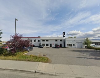 Plus de détails pour 7031 Arctic Blvd, Anchorage, AK - Local commercial à vendre