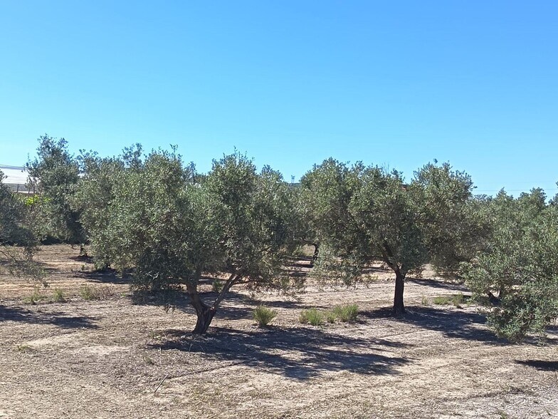 Terrain dans Monforte del Cid, Alicante à vendre - Photo de l’immeuble – Image 2 sur 5