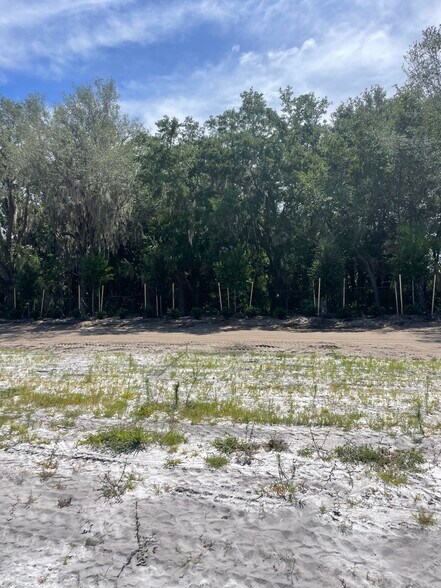 Lake Ferns Road, Umatilla, FL à vendre - Photo de la construction – Image 2 sur 6