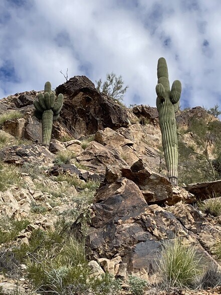 E Glen Drive Road, Paradise Valley, AZ à vendre - Autre – Image 3 sur 11