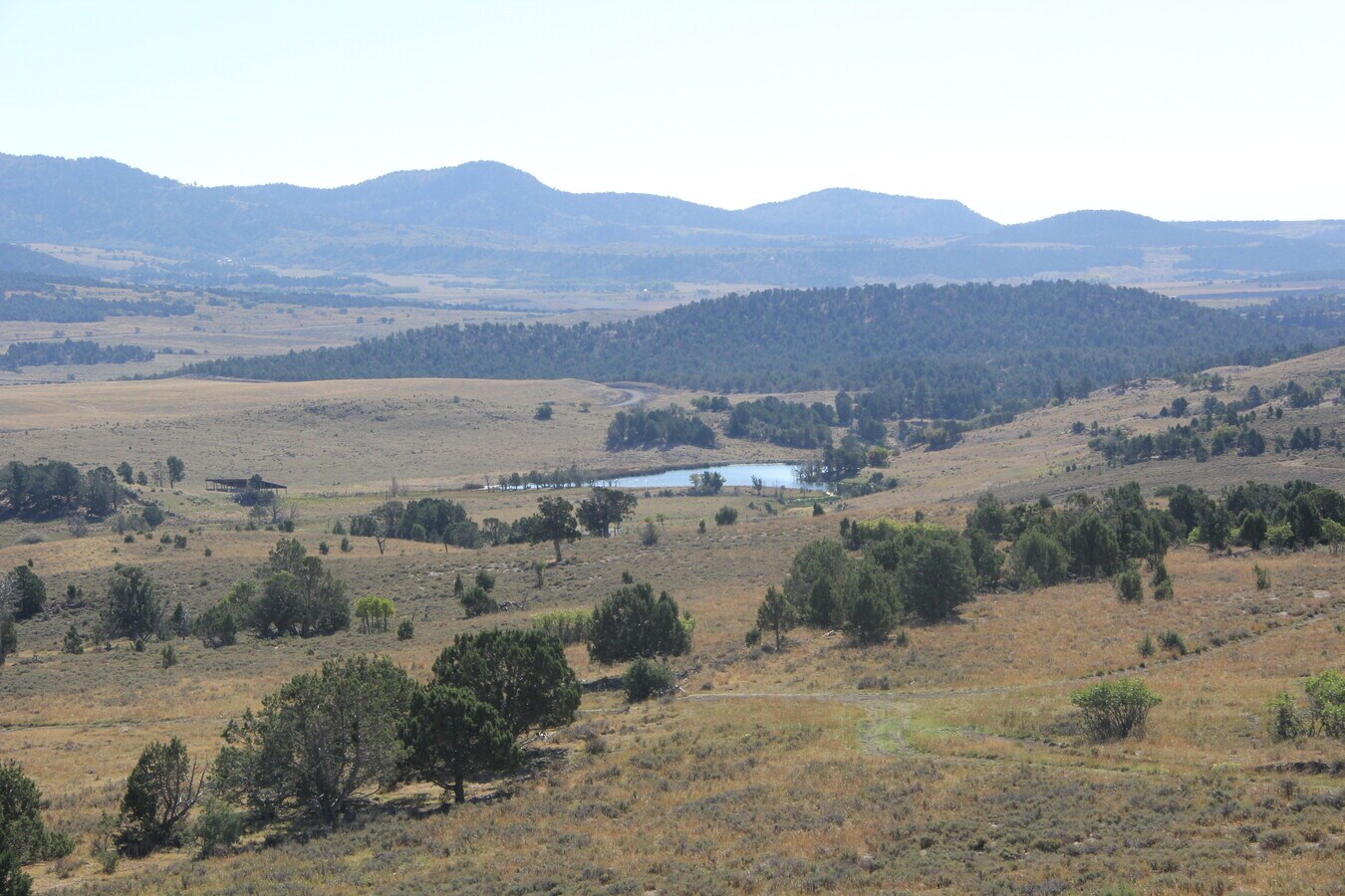 View Photo