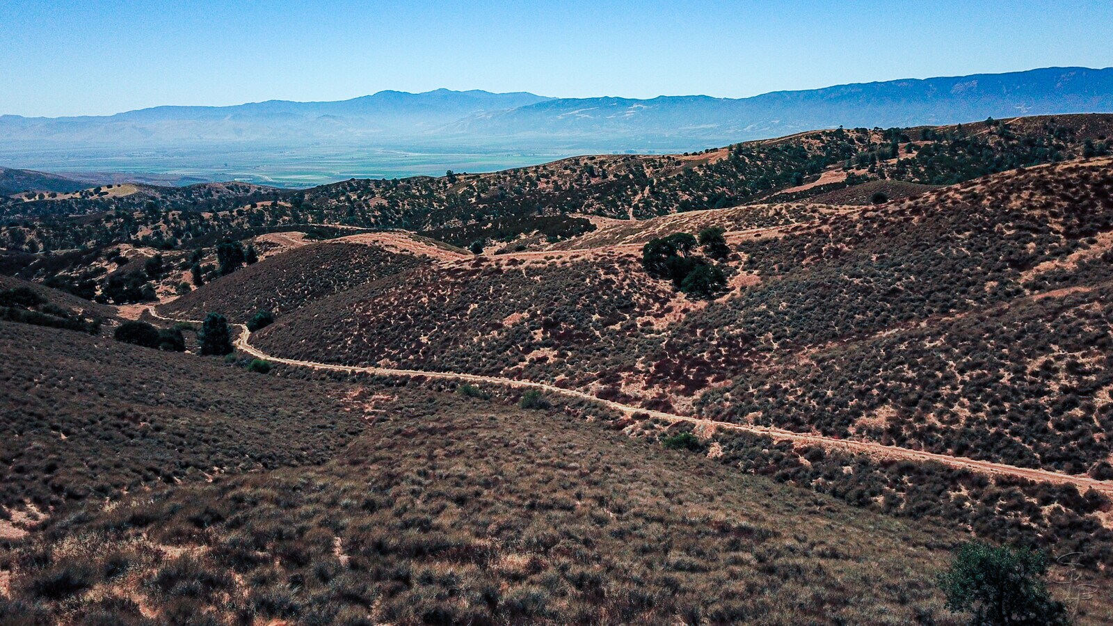 View Photo