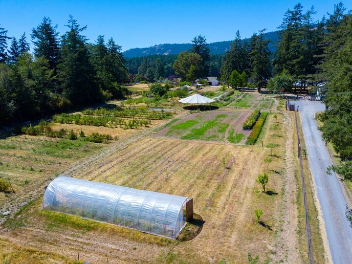 280 Dolphin Bay Rd, Eastsound, WA à vendre - Photo de l’immeuble – Image 2 sur 6