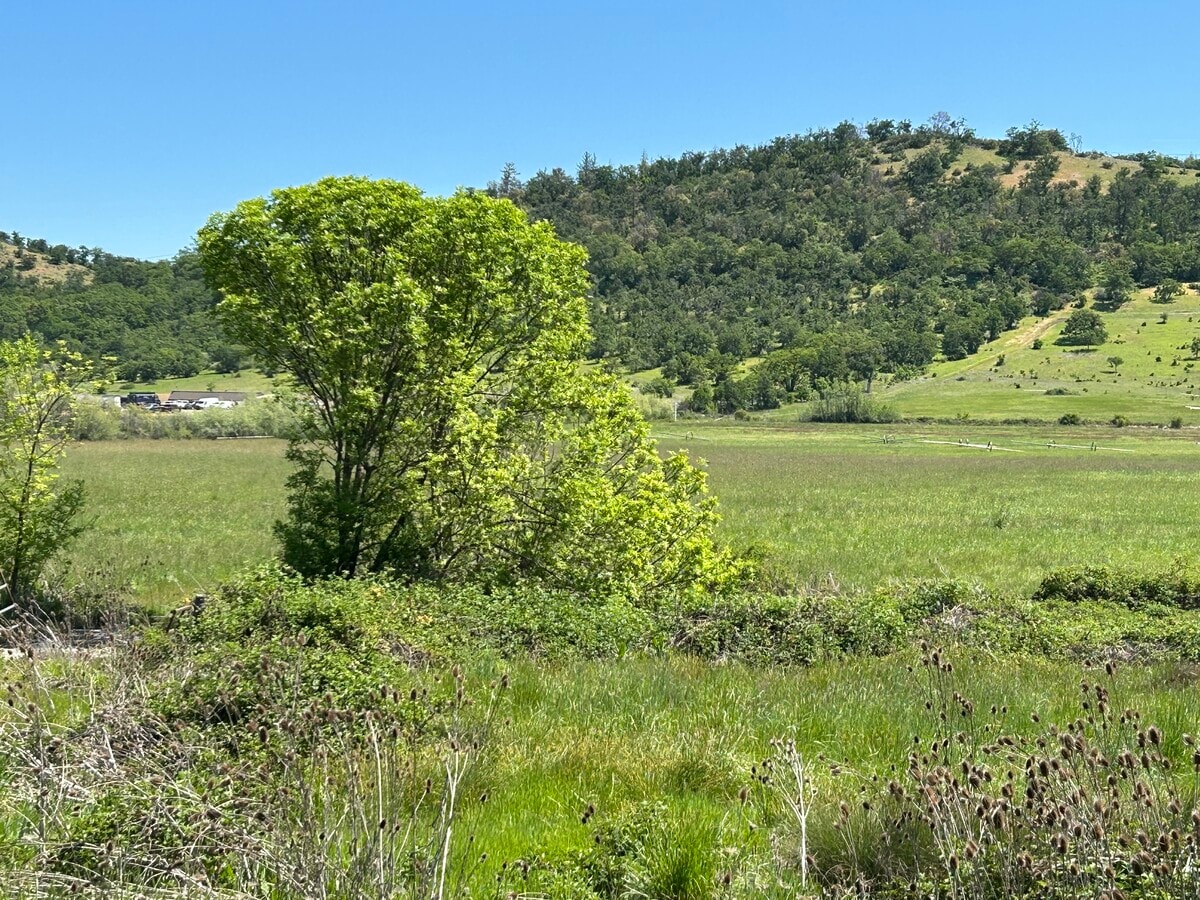 View Photo