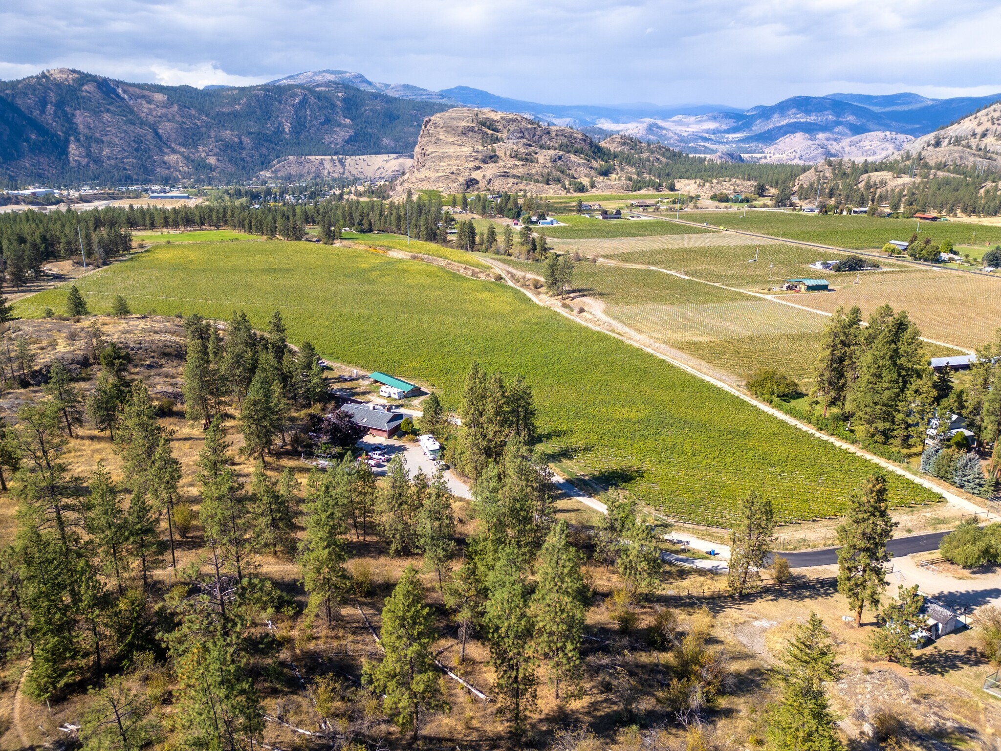 1580 Chapman Rd, Okanagan Falls, BC à vendre Photo principale– Image 1 sur 31