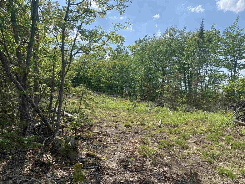 W of 327 US 41 E hwy, Negaunee, MI à vendre - Photo de l’immeuble – Image 2 sur 7