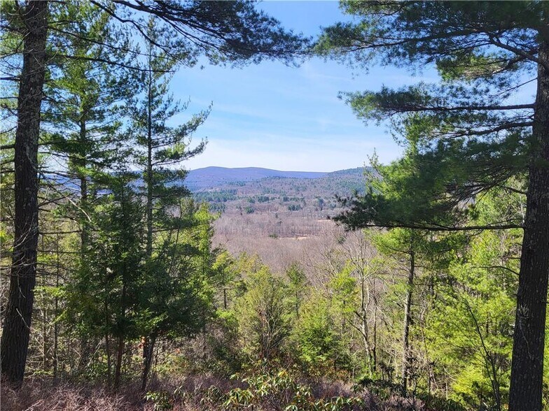 8 Henry Rd, Cragsmoor, NY à vendre - Photo de l’immeuble – Image 3 sur 24