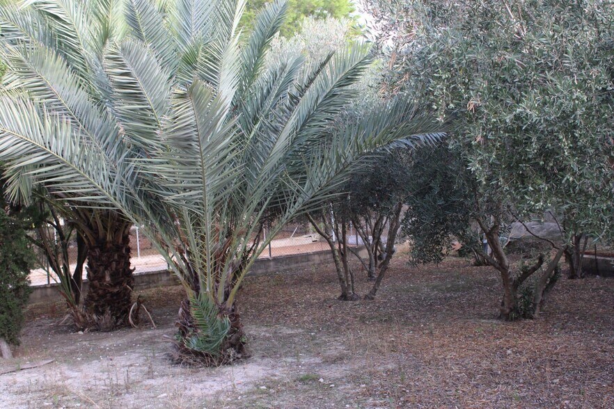 Terrain dans Molina de Segura, Murcia à vendre - Photo de l’immeuble – Image 3 sur 14