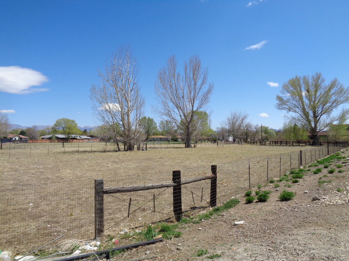 View Photo