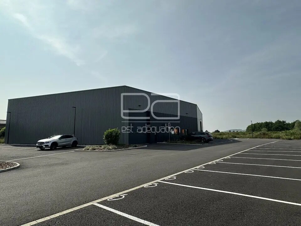 Local d'activités dans Dombasle-sur-Meurthe à vendre Photo de l’immeuble– Image 1 sur 17