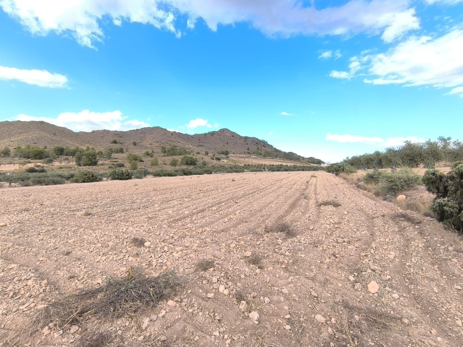 Terrain dans MURCIA à vendre Photo principale– Image 1 sur 5