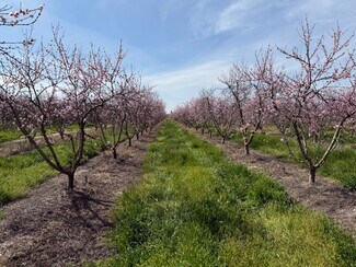 Plus de détails pour Euclid Ave, Hughson, CA - Terrain à vendre