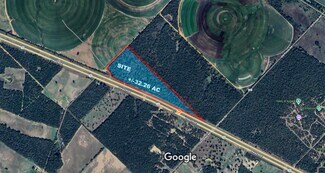 Plus de détails pour 0 Highway 290, Paige, TX - Terrain à vendre