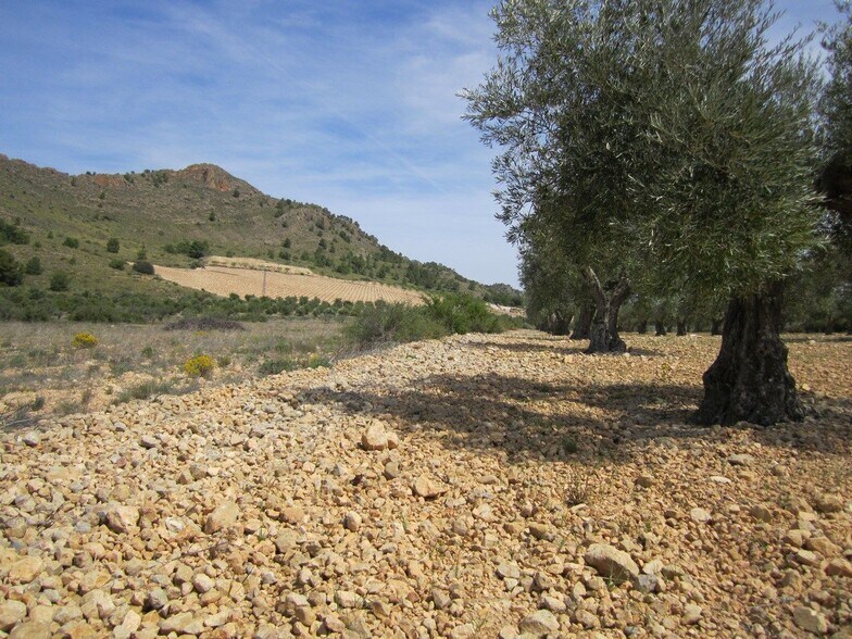 Terrain dans MURCIA à vendre - Photo principale – Image 3 sur 4