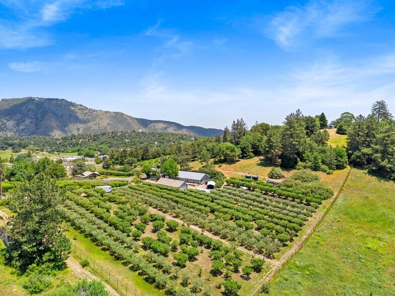 2645 Apple Ln, Julian, CA à vendre - Photo principale – Image 1 sur 61