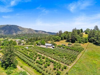 Plus de détails pour 2645 Apple Lane l, Julian, CA - Terrain à vendre