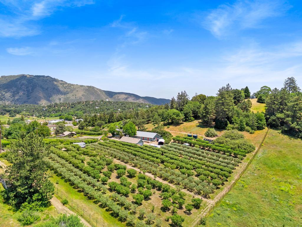 2645 Apple Ln, Julian, CA à vendre Photo principale– Image 1 sur 62