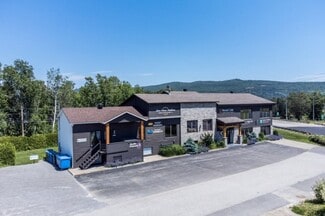 Plus de détails pour 2 Rue De L'usine, Baie-Saint-Paul, QC - Local commercial à vendre