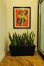 11331 Ventura Blvd, Studio City, CA à louer Photo intérieure– Image 2 sur 15