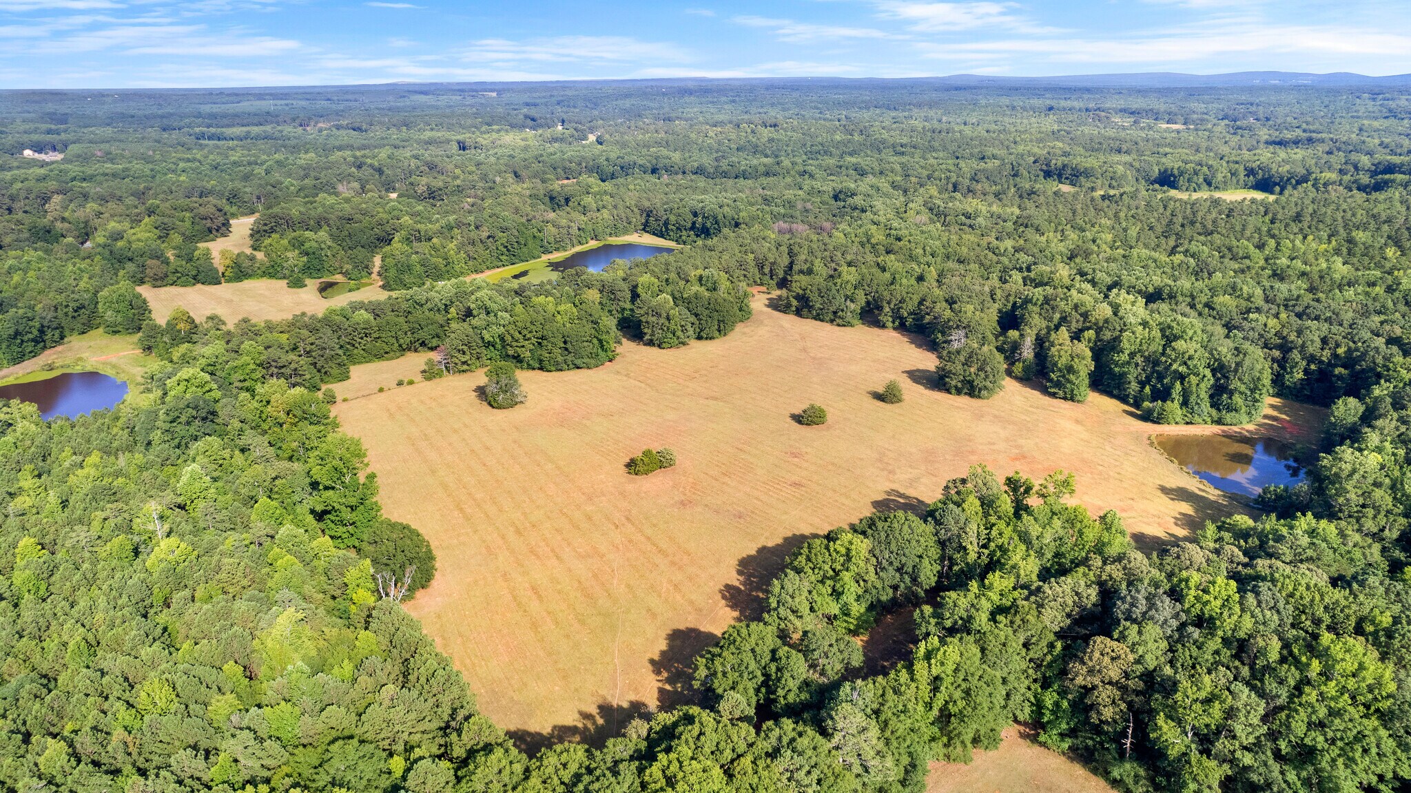 4091 Hollonville Rd, Williamson, GA à vendre Photo principale– Image 1 sur 66