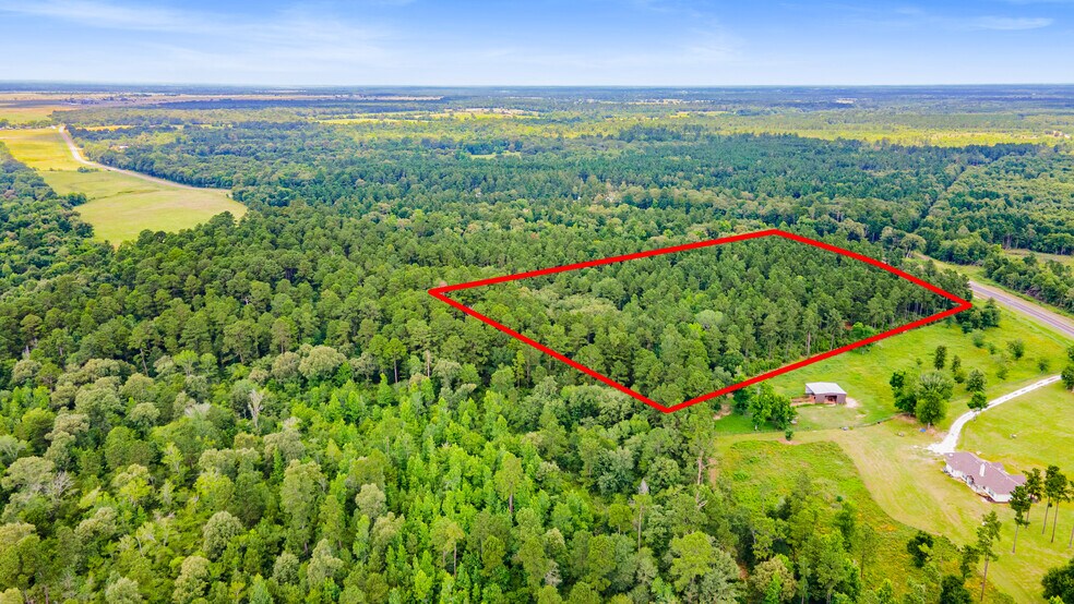 00 00 Farm to Market 230, Trinity, TX à vendre - Photo de l’immeuble – Image 1 sur 11