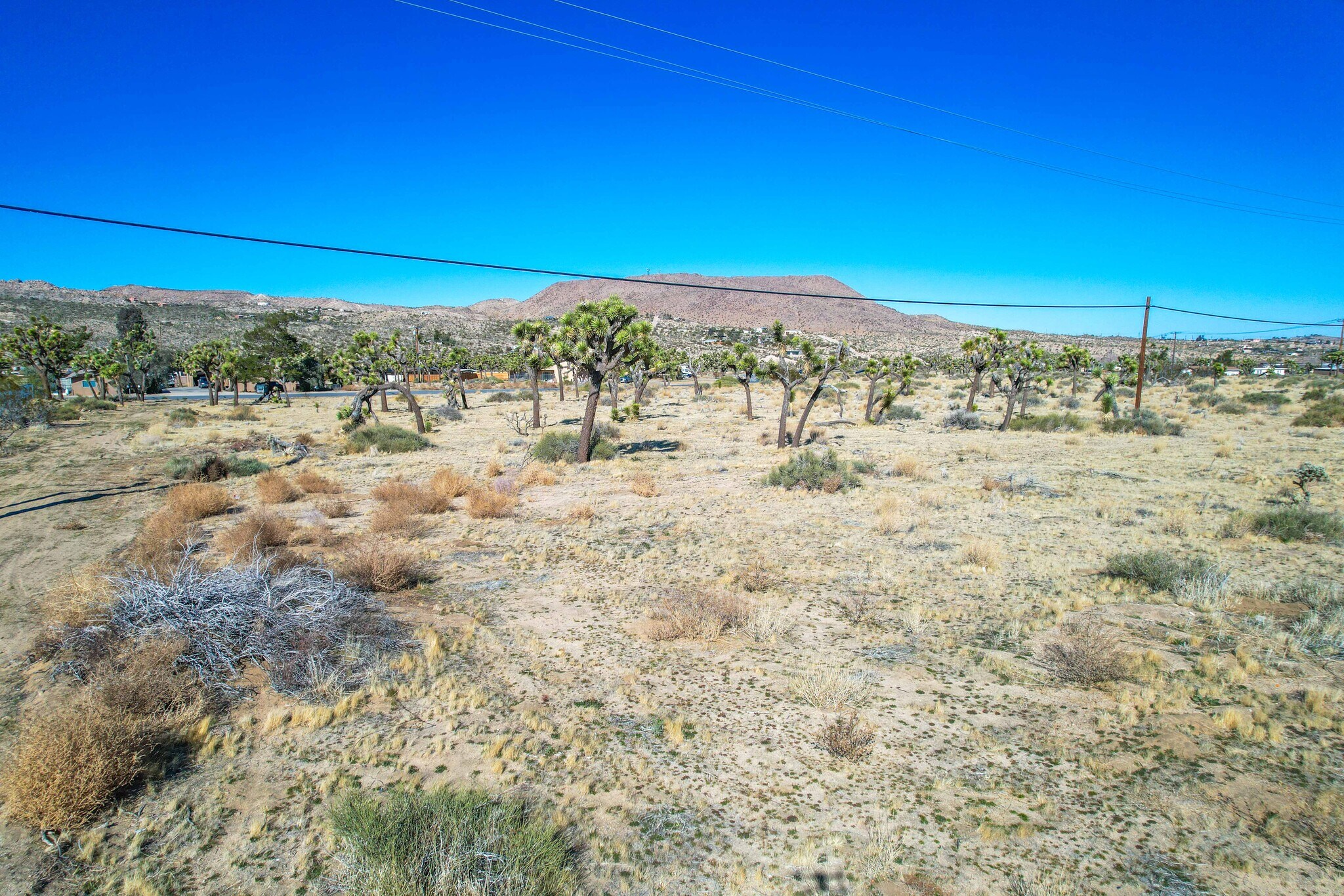 0 Twentynine Palms Hwy, Yucca Valley, CA à vendre Autre– Image 1 sur 31