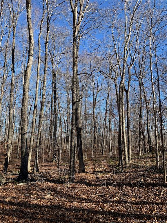 Lot 4 Killingworth Turnpike, Clinton, CT à vendre Photo principale– Image 1 sur 3