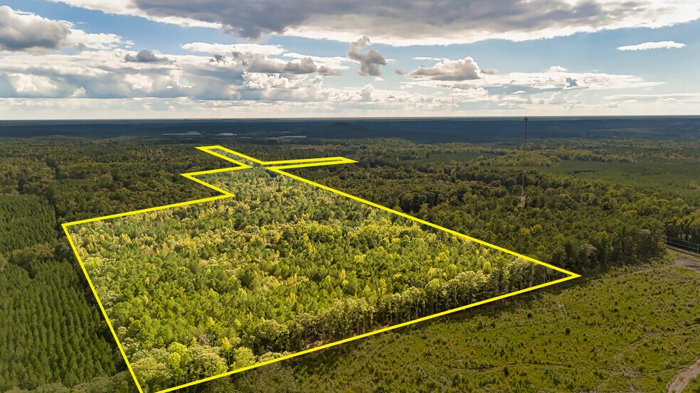 3005 State Route 18, West Point, GA à vendre - Aérien – Image 2 sur 21
