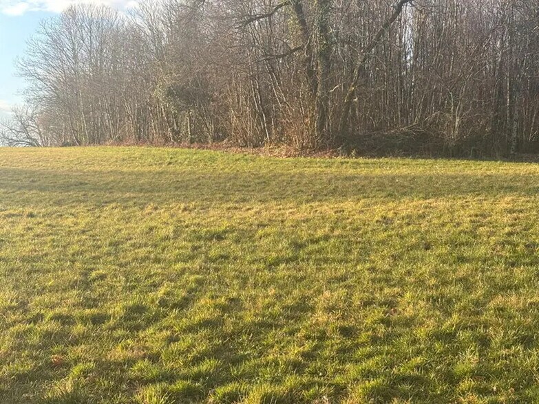 Terrain dans Condat-sur-Vienne à vendre - Plan de site – Image 3 sur 3