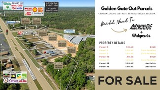 Plus de détails pour 4154 N Lecanto Highway, Beverly Hills, FL - Terrain à vendre