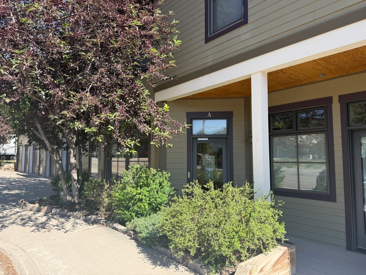 195 S Lena St, Ridgway, CO 81432 - Lot A - - Photo intérieure - Image 1 of 20