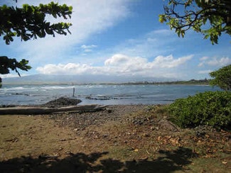 Plus de détails pour 104 Lower Waiehu Beach Rd, Wailuku, HI - Terrain à vendre