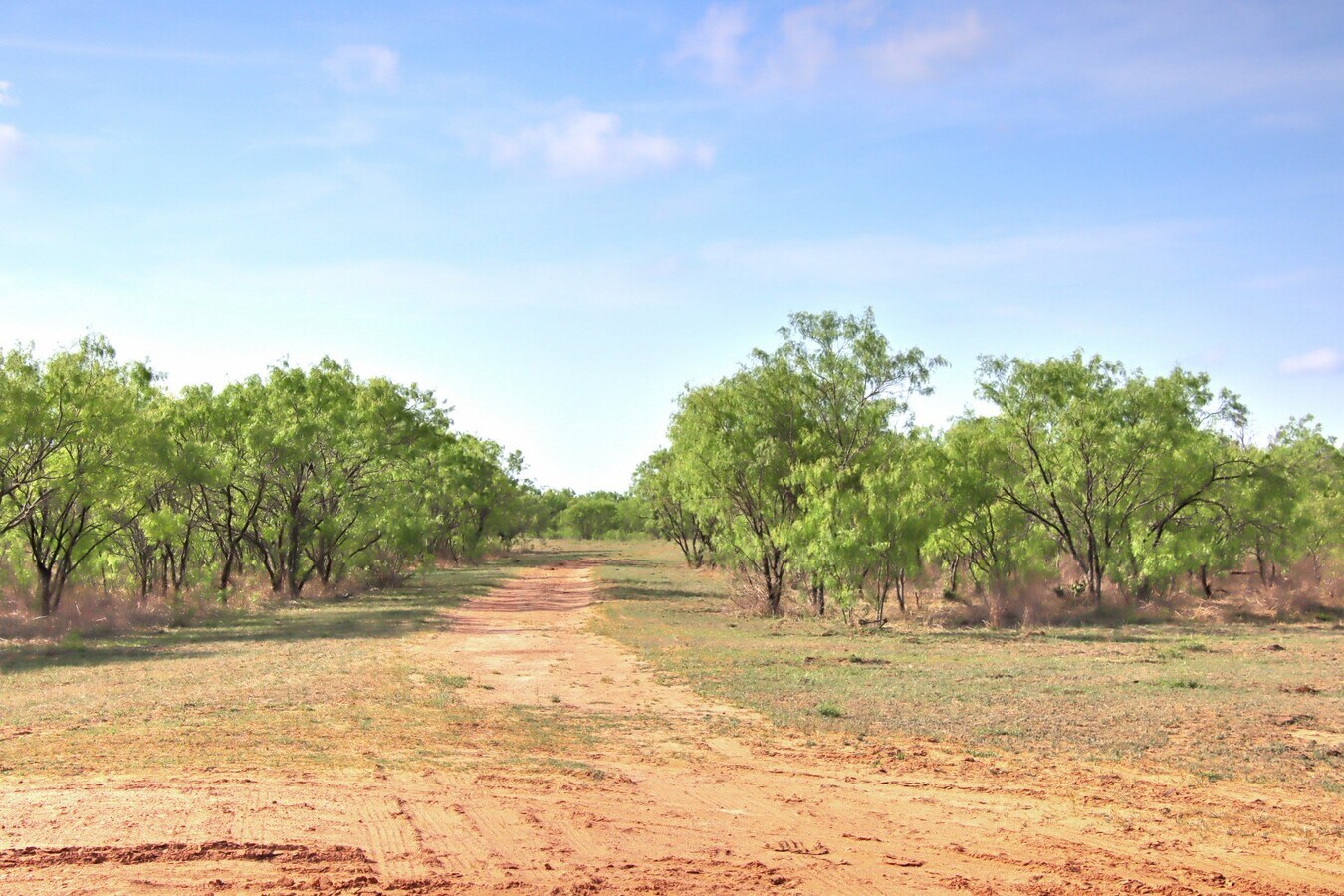 View Photo