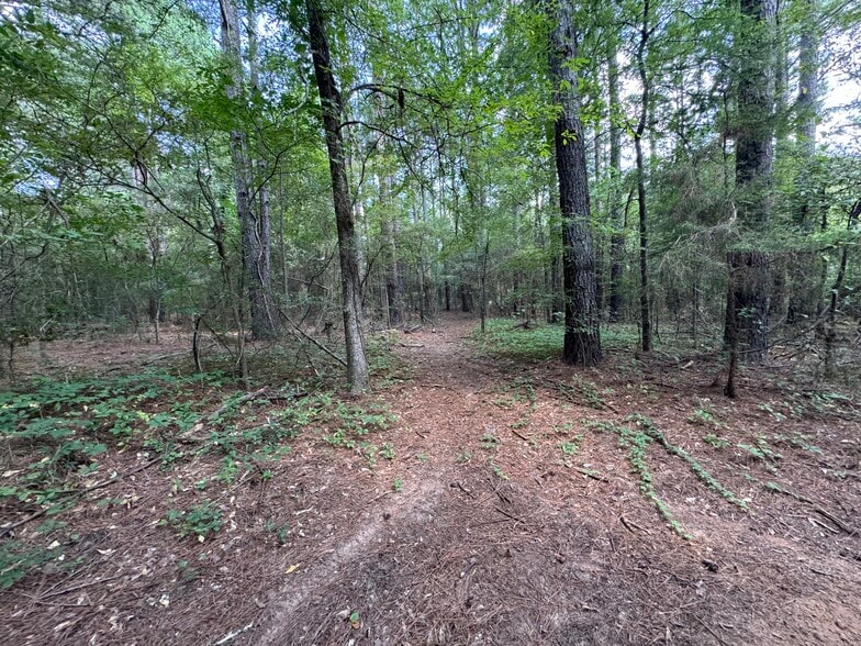 000 Meadow View Ln, Flint, TX à vendre - Photo de l’immeuble – Image 3 sur 44