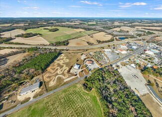Plus de détails pour 3239 US 301, Hamer, SC - Terrain à vendre