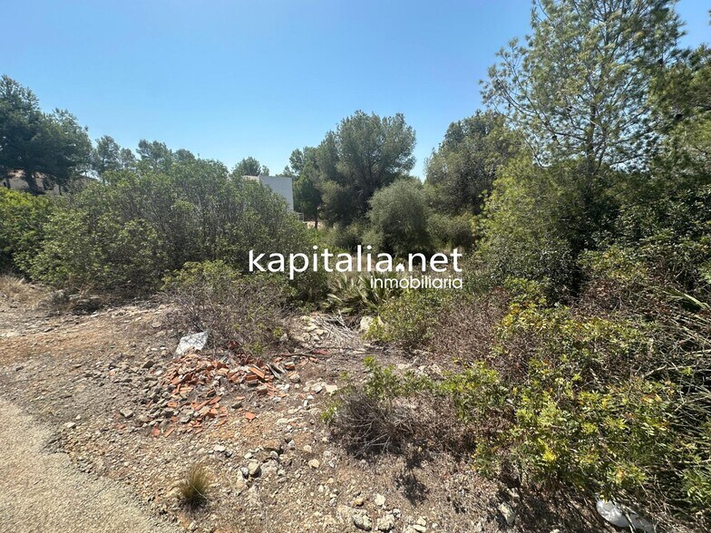 Terrain dans Alberic, Valencia à vendre - Photo principale – Image 1 sur 5