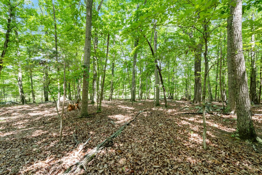 2853 Franklin Rd, Hillsborough, NC à vendre - Photo de l’immeuble – Image 3 sur 8