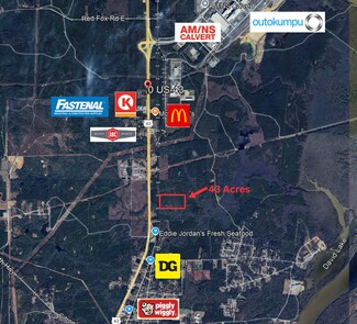 Plus de détails pour 0 Highway 43 N., Mount Vernon, AL - Terrain à vendre