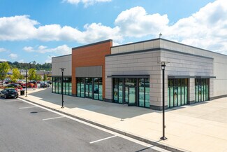 Plus de détails pour 10300 Mill Run Cir, Owings Mills, MD - Bureau/Local commercial à louer