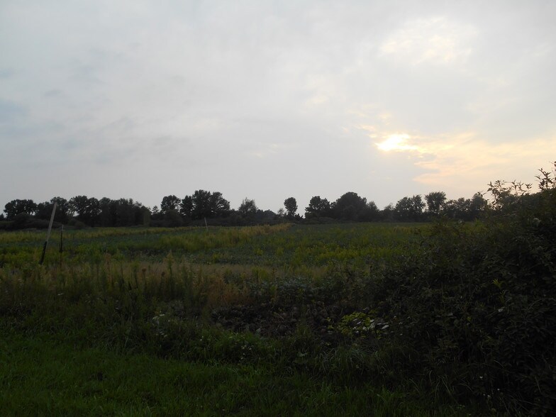 4845 Lake Pleasant Rd, North Branch, MI à vendre - Autre – Image 2 sur 6