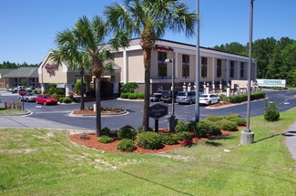 Plus de détails pour 13003 GA Highway 251, Darien, GA - Hôtellerie à vendre