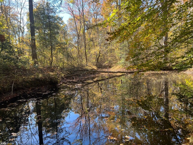 0 N Roxbury Mill Rd Rd, Woodford, VA à vendre - Autre – Image 3 sur 32