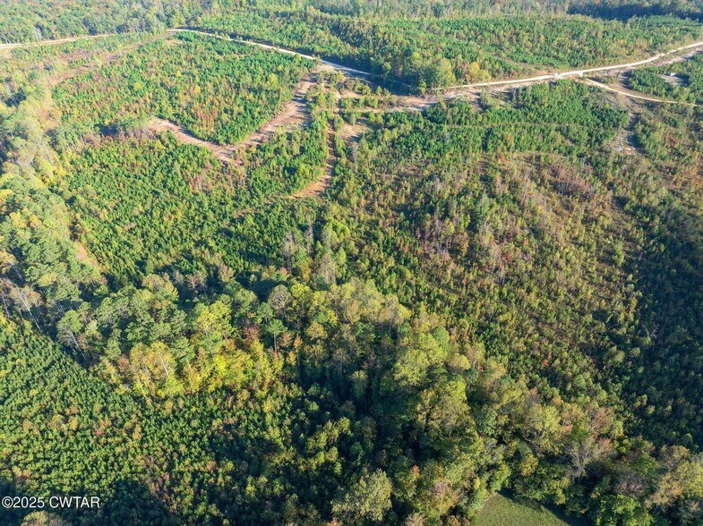 7 Tucker Rd, Bath Springs, TN à vendre - Aérien – Image 3 sur 4