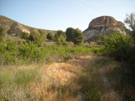 Terrain dans Calasparra, Murcia à vendre - Photo de l’immeuble – Image 3 sur 16