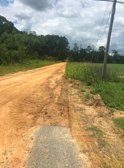 11149 US Highway 301, Claxton, GA à vendre - Photo de l’immeuble – Image 2 sur 5