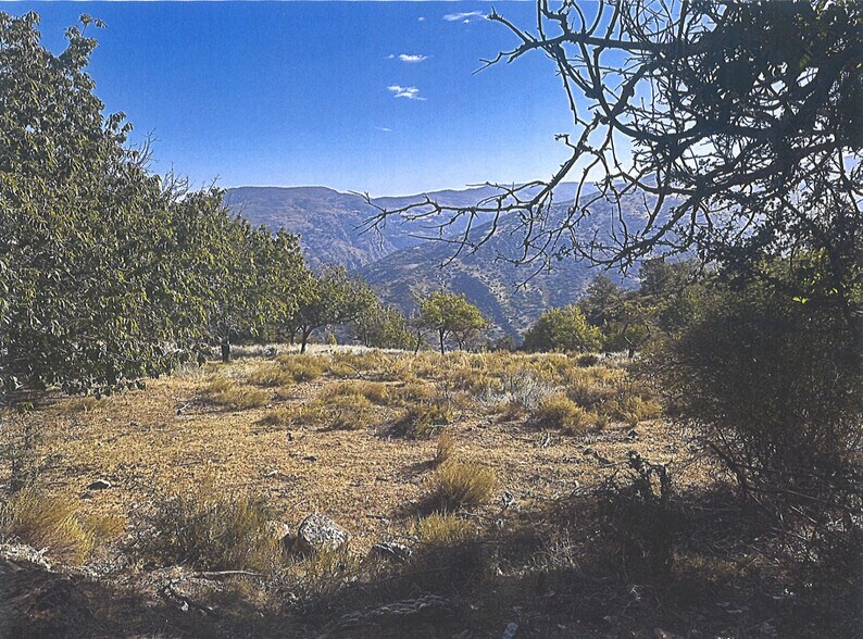 Terrain dans Güéjar Sierra à vendre - Photo de l’immeuble – Image 2 sur 33