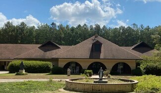 Plus de détails pour 50352 Antioch Rd, Tickfaw, LA - Spécialisé à vendre