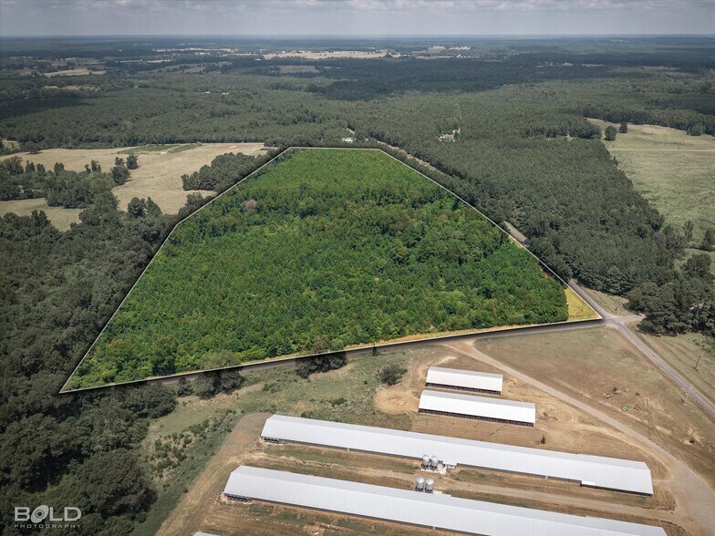 829 Barnes rd, Athens, LA à vendre - Photo de l’immeuble – Image 2 sur 36